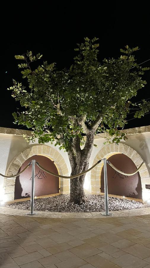 Bed and Breakfast Quei Trulli Divini Martina Franca Exterior foto